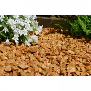 Gravier Jaune saumon