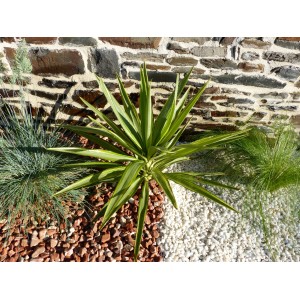 Kaliber zuiver wit kiezelsteen 6-12 mm