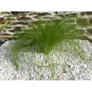 Pedras brancas brilhantes, 6 a 15 sacos de 20 kg