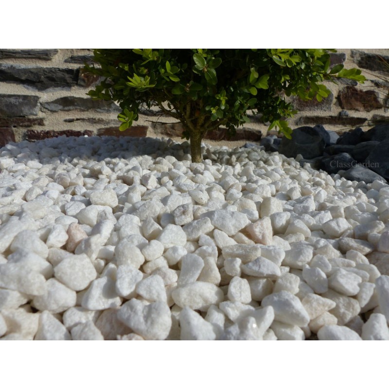 gravier_blanc