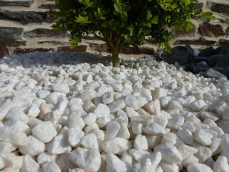 gravier_blanc