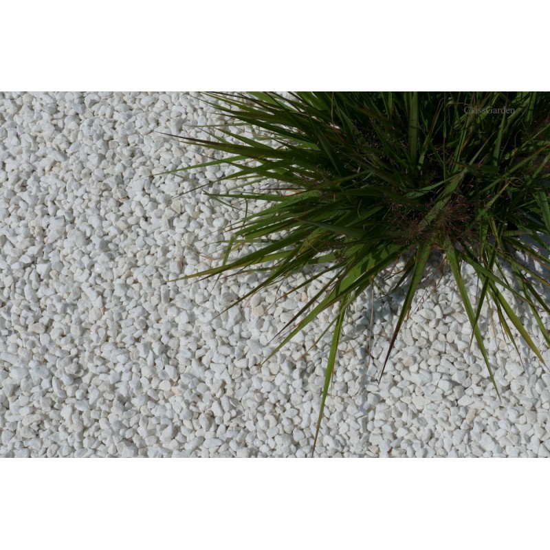 gravier_blanc