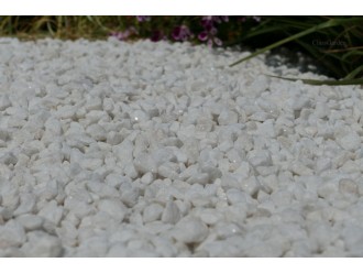 gravier_blanc