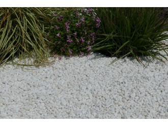 gravier_blanc