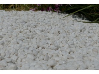 gravier_blanc