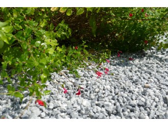 Gravier Gris Clair 6-12 saco 20 Kg