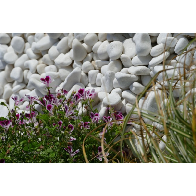 Galet_Blanc_Brillant