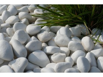 Galet_Blanc_Brillant