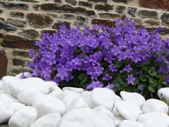 Galet_Blanc_Brillant
