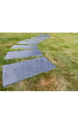 Rechthoekige Japanse Standplaats 50x25 - Pak van 16 stuks