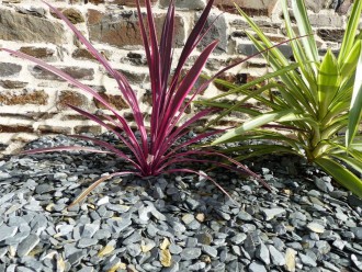 Schiefermulch GRAU 10-30 - Pack 10 m² - 24 Säcke - 600 kg