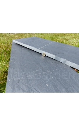 Rechteckige Platte 50x25