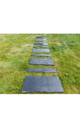 Rechthoekige plaat 50x25