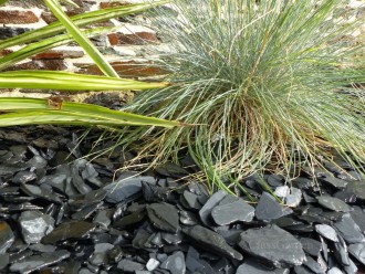 Paillage_Ardoise