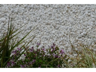 Grava Blanca Brillante 8-12 saco 20 Kg