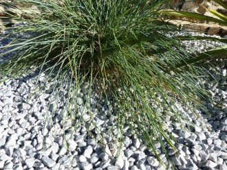 Galet_Gris_Clair