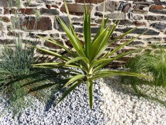 Galet_Gris_Clair