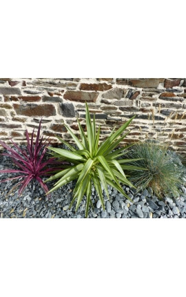 Paillage d'Ardoises GRIS calibre 30-60 mm