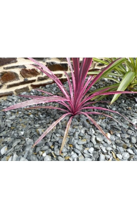 GRIJZE leisteen Mulchkaliber 30-60 mm