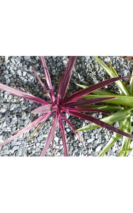 GRIJZE leisteen Mulchkaliber 30-60 mm