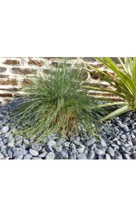 Mat zwart kiezelsteen kaliber 12-24 mm