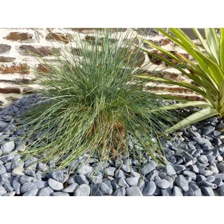 Mattschwarzes Kieselkaliber 12-24 mm