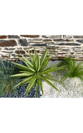 Galet Noir Mat calibre 12-24 mm