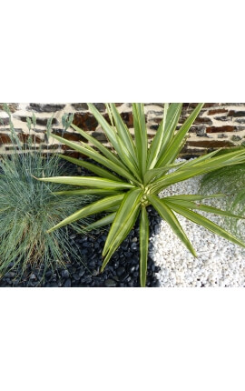 Matt Black Pebble Pak van 5 M² kaliber 12-24 mm