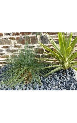 Matt Black Pebble Packung mit 5 M² Kaliber 12-24 mm