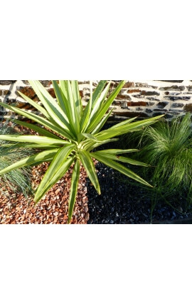 Mattschwarzes Kieselkaliber 6-12 mm