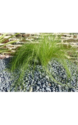 Matte Black Pebble Verpakking met kaliber 5 M² 6-12 mm