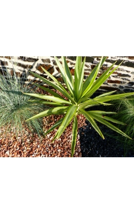 Galet Rouge calibre 6-12 mm