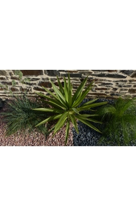 Galet Rouge calibre 6-12 mm