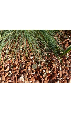 Red Pebble Pak van 5 M² kaliber 6-12 mm