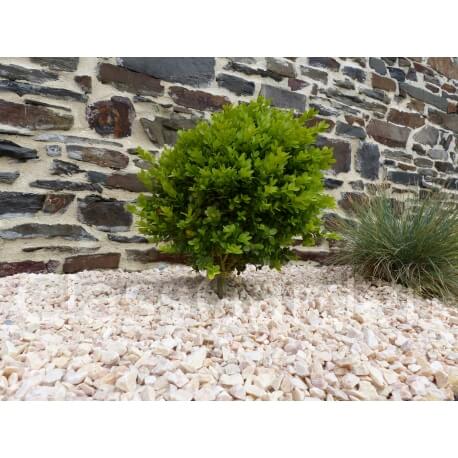 Roze Grind Pak van 7 M² 6-12 mm