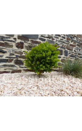 Gravier Rose Pack de 10 M²  6-12 mm