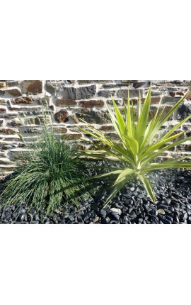 Glanzende zwarte kiezelsteen. Verpakking van 5 M² kaliber 12-24 mm