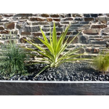 Glanzende zwarte kiezelsteen. Verpakking van 10 M² kaliber 12-24 mm