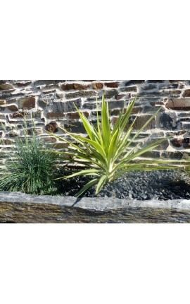 Glanzende zwarte kiezelsteen. Verpakking van 10 M² kaliber 12-24 mm