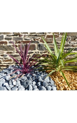 Zebra roller kaliber 40-60 mm