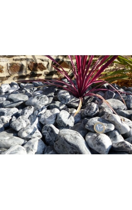 Zebrarollenkaliber 40-60 mm