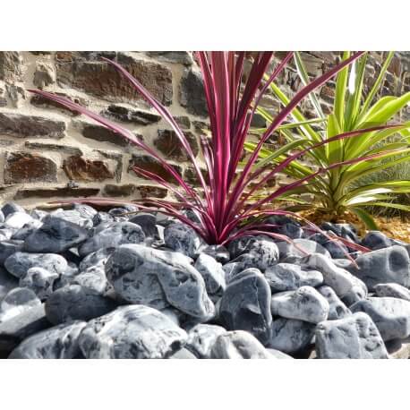 Zebrarollenkaliber 40-60 mm