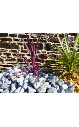 Galet Gris calibre 40-60 mm