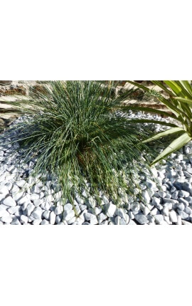 Canto Rodado Gris claro 12-24 Pack 5 M² - 10 sacos - 200 kg