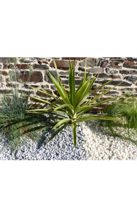 Lichtgrijze kiezelsteen kaliber 6-12 mm