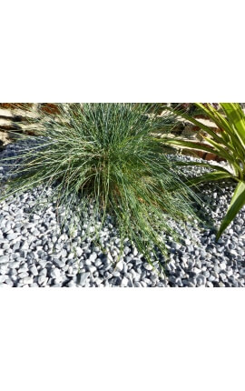 Lichtgrijze kiezelsteen kaliber 6-12 mm