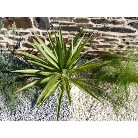 Galet Gris Clair calibre 6-12 mm