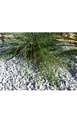 Hellgraues Kieselkaliber 6-12 mm