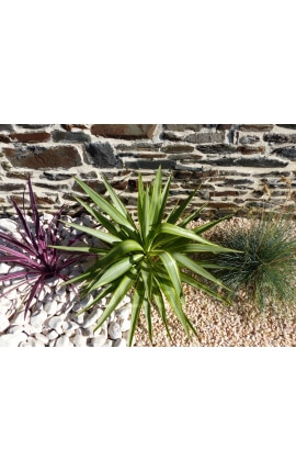 Gravier Rose Pack de 10 M²  6-12 mm