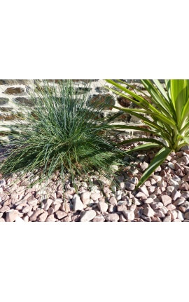 Red Pebble Pak van 7 M² kaliber 12-24 mm